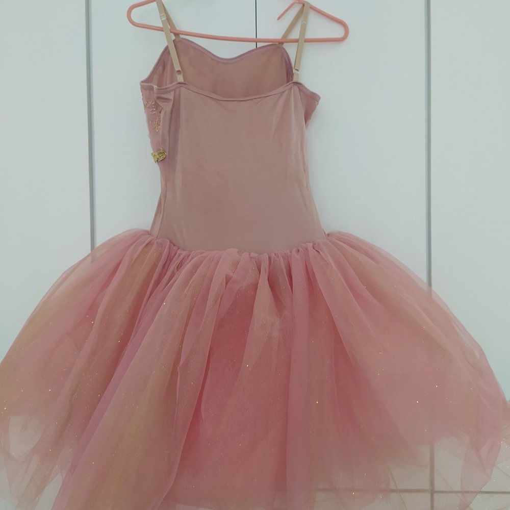 Ballet tutu - Picture 5 of 6
